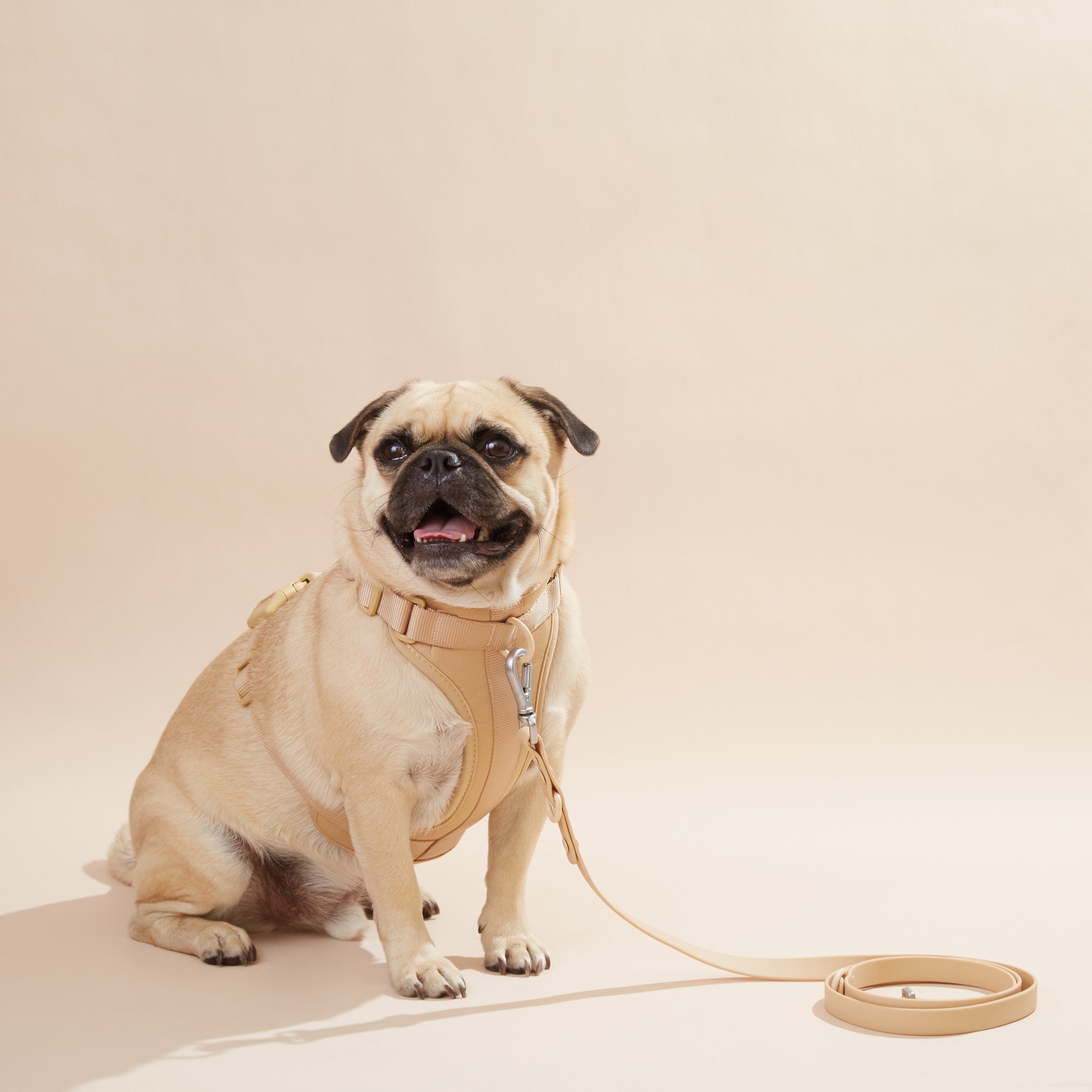 Kényelmes kutyahám szett pórázzal - állítható strapabíró